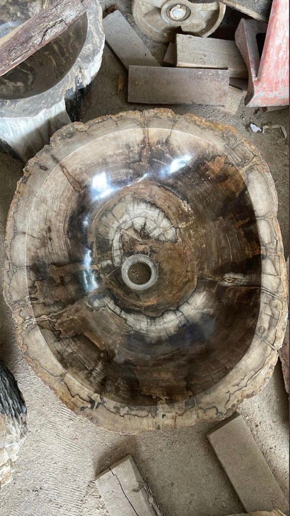 Petrified Wood Stone Sink – Natural Fossil Bathroom Vessel Basin | Rustic Vanity Bowl | Travertine Sink