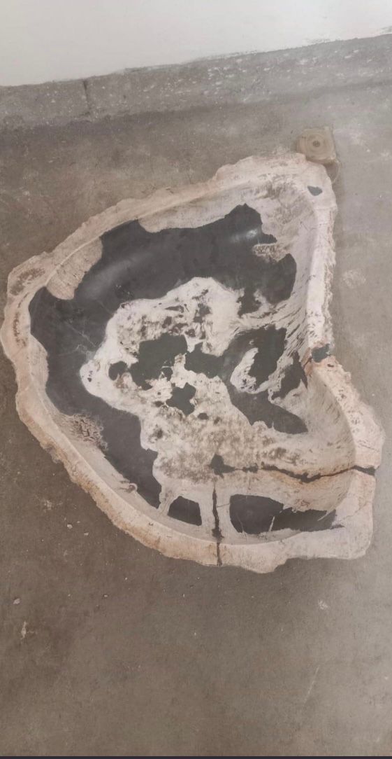 Petrified Wood Stone Sink – Natural Fossil Bathroom Vessel Basin | Rustic Vanity Bowl | Travertine Sink