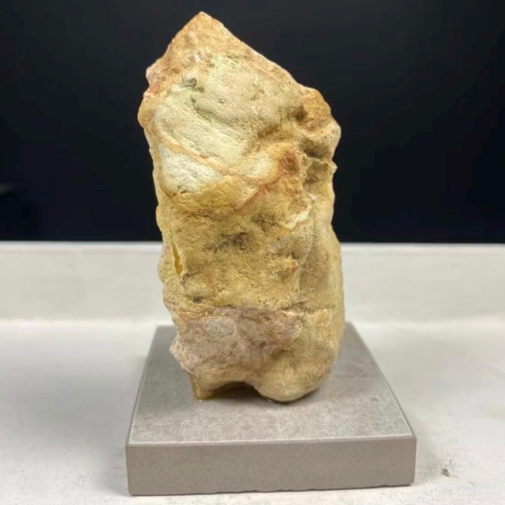 Petrified Wood Fossil on Stand – Natural Mineral Specimen, Stone Art, Unique Organic Decor, Ancient Wood Rock, Modern Home Display