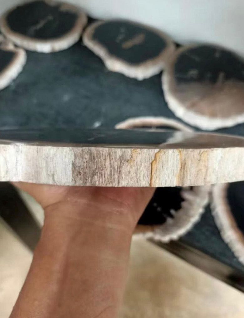 Polished Petrified Wood Slab | Natural Fossil Wood Slice | Rustic Fossilized Wood Decor | Organic Modern Home Accent | One of a Kind